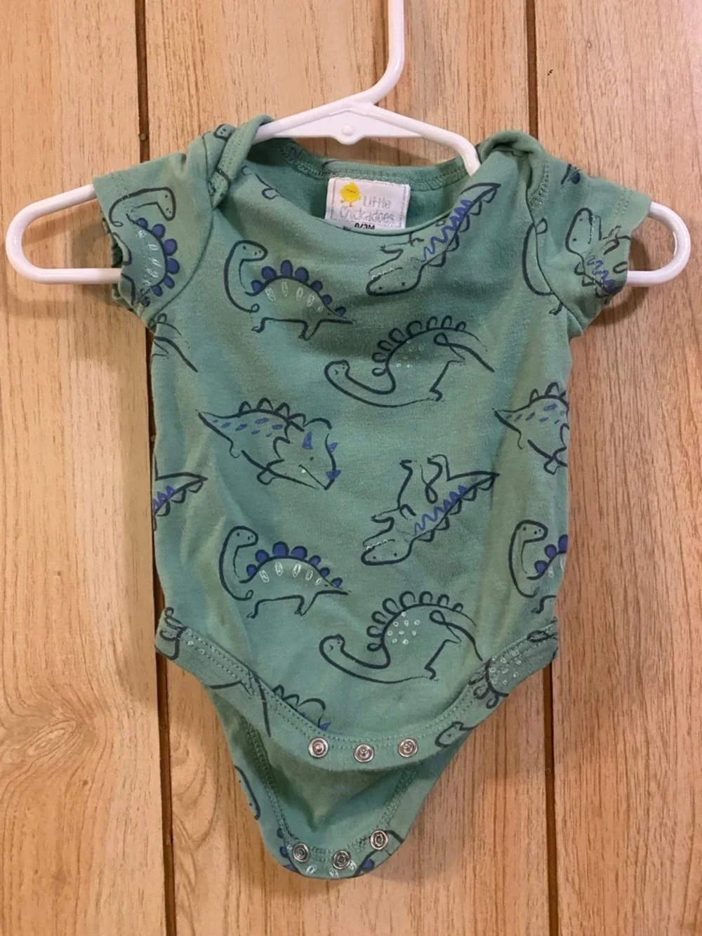 Little Chickadees Sage Green Dinosaur Print Onesie 0-3M